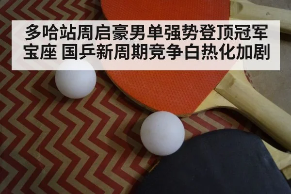 table tennis racket closeup