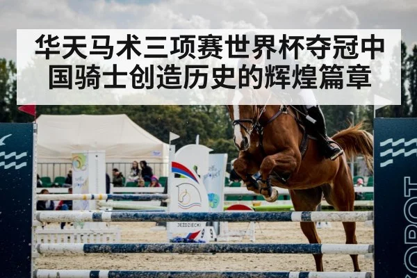 horse jumping arena